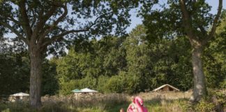 Camping O2 in Frankrijk is genesteld in het bos Familie- en natuurcamping O2 Camping