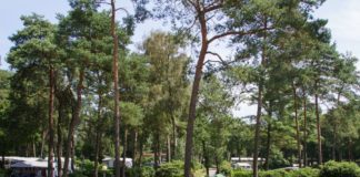 Camping Zuid Ginkel aan de rand van de Veluwe Camping Zuid Ginkel