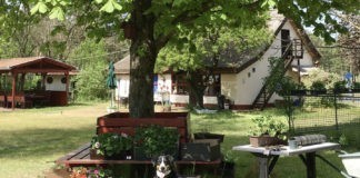 Camping Oázis-Tanya in het zuiden van Hongarije Camping Oázis-Tanya