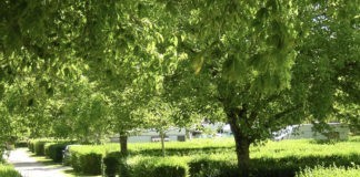 Camping La Roche Posay ideale campingvakantie in Frankrijk Camping La Roche Posay