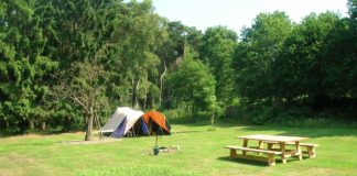 Eelke Horselenberg nieuwe directeur Stichting De Groene Koepel