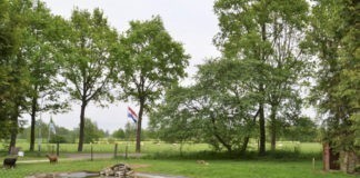 Camping ’t Hoogje een prachtige boerencamping Camping 't Hoogje een prachtige boerencamping