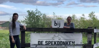 Camperplaats De Spekdonken kamperen en genieten Camperplaats De Spekdonken kamperen en genieten