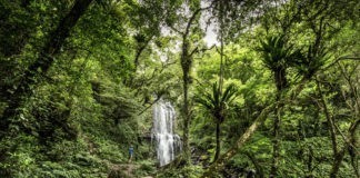 Een wilde nacht in een tent van Fjällräven Een wilde nacht in een tent van Fjällräven