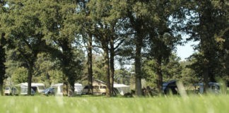 Camping de Broak met Twentse gastvrijheid Camping de Broak