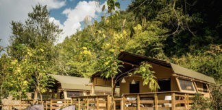 JetCamp biedt een overvloed aan informatie over kamperen