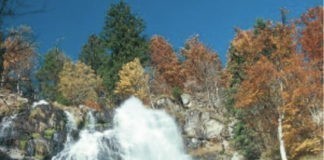 Rother Wandelgids Zwarte Woud-Zuid Wandelen in de Duitse bergen Rother Wandelgids Zwarte Woud-Zuid Wandelen in de Duitse bergen