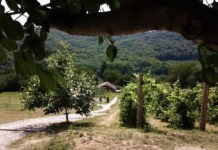 Camping DutchHill voor rust, natuur en eenvoud Camping DutchHill voor rust, natuur en eenvoud