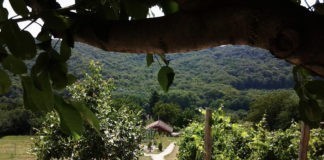 Camping DutchHill voor rust, natuur en eenvoud Camping DutchHill voor rust, natuur en eenvoud