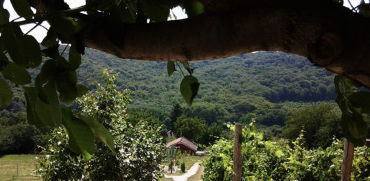 Camping DutchHill voor rust, natuur en eenvoud Camping DutchHill voor rust, natuur en eenvoud