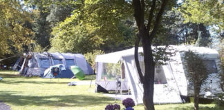 Camping Zwinderen gelegen in de Drentse bossen Camping Zwinderen gelegen in de Drentse bossen