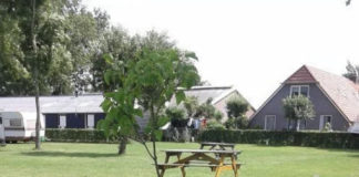 Boerderijcamping De Stadsgaten waar rust en ruimte nog volop aanwezig is Boerderijcamping De Stadsgaten waar rust en ruimte nog volop aanwezig is