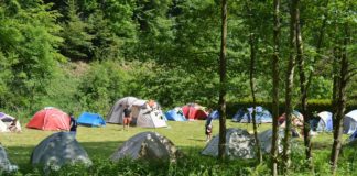 Camping Am Niemetal waar rust en ruimte de hoofdrol spelen Camping Am Niemetal waar rust en ruimte de hoofdrol spelen