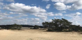 ANWB-leden vinden het niet te druk op de Veluwe ANWB-leden vinden het niet te druk op de Veluwe