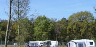 Camping De Peelpoort in het prachtige Peellandschap