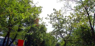 Camping Barco Reale in de heuvels van Toscane Camping Barco Reale in de heuvels van Toscane