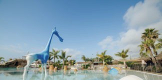 Record bezetting op campings deze zomervakantie Record bezetting op campings deze zomervakantie