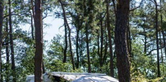 Camping Zilvermeer in Mol een haast magische klank Camping Zilvermeer in Mol een haast magische klank