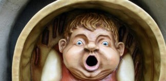 De Efteling en het Rijksmuseum zijn de publiekslievelingen De Efteling en het Rijksmuseum zijn de absolute publiekslievelingen