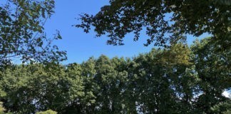 Camping de Tabaksschuur bijzonder fraai aangelegd Chaletpark & Camping de Tabaksschuur