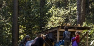 Paalkampeerplaats Duinengordel gratis wildkamperen Paalkampeerplaats Duinengordel gratis wildkamperen
