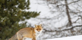 Vijf toffe familietips om op ontdekking te gaan Vijf toffe familietips