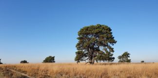 Inspiratie voor een natuurvakantie in eigen land Inspiratie voor een natuurvakantie in eigen land
