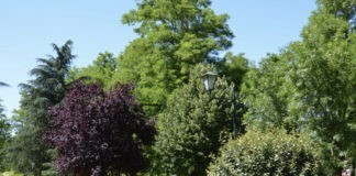 Camping le Ch’timi, kamperen op een kleinschalige camping Camping le Ch’timi