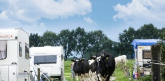 Boerderijcamping de Mebel in de gemoedelijke Achterhoek! Boerderijcamping de Mebel in de gemoedelijke Achterhoek!