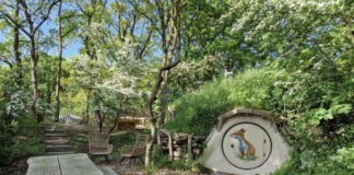 Ontdek de natuur van dichtbij met de Duin Onder Ontdek de natuur van dichtbij met de Duin Onder