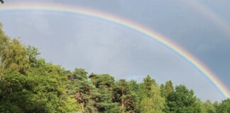 Camping Holsteenbron in het mooie Zonhoven Camping Holsteenbron in het mooie Zonhoven