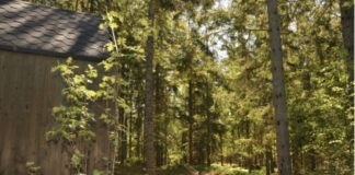 Ontstressen in de Zweedse natuur Ontstressen in de Zweedse natuur