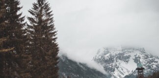 Kamperen met een functiebeperking, alles wat je moet weten Kamperen met een functiebeperking, alles wat je moet weten