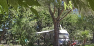 Camping Le Mas De Mourgues vakantie in de Camargue Camping Le Mas De Mourgues in het hart van mediterrane vegetatie