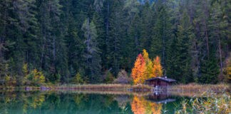 7 herfstwandelingen aan de zonzijde van de Zugspitze 7 herfstwandelingen aan de zonzijde van de Zugspitze