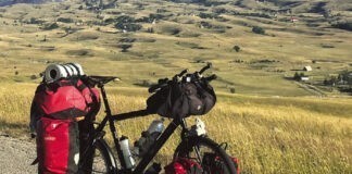 Stormreis van een jonge hond Stormreis van een jonge hond