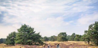 Vakantiepark gelegen midden in de Gelderse bossen Vakantiepark gelegen midden in de Gelderse bossen