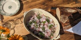 Fietsexcursie voor fijnproevers in de Franse Ardennen Lokale lekkernijen om aan te sterken voor de fietstocht - Credits Martine Jongbloed