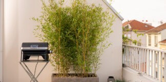 Elektrisch barbecueën met Campingaz Elektrisch barbecueën met Campingaz