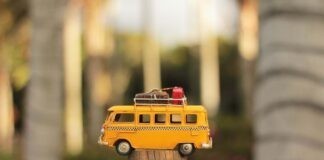 Europese politiek: zet in op elektrificatie Europese politiek: zet in op elektrificatie