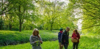 Koken op het kampvuur met eetbare wilde planten eetbare wilde plantenwandelingen
