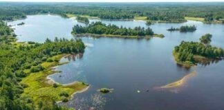 5x de grootste outdooravonturen in de wildernis van Småland 5x de grootste outdooravonturen in de wildernis van Småland