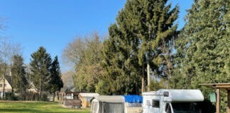 Kamperen met je paard op Camping Boszicht Kamperen met je paard op Camping Boszicht