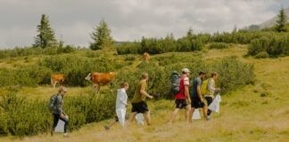 Nuttige herfstwandeling: maak de bergen schoon Nuttige herfstwandeling: maak de bergen schoon
