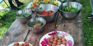 Duik drie maanden in de wereld van eetbare wilde planten Duik drie maanden in de wereld van eetbare wilde planten