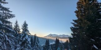 De leukste snowshoe hikes met de hele familie in Châtel en Les Gets De leukste snowshoe hikes met de hele familie in Châtel en Les Gets