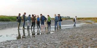Nieuwe mogelijkheden voor recreatie in de natuur op Tholen Nieuwe mogelijkheden voor recreatie in de natuur op Tholen verlagen druk op kustgebieden