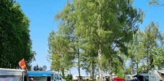 Beleef de rust en natuur bij Camping de Boschtuin Beleef de rust en natuur bij Camping de Boschtuin