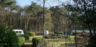 Kamperen op Landgoed De Wildert: Genieten van de natuur Kamperen op Landgoed De Wildert: Genieten van de natuur