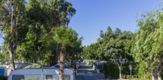 Camping Don Cactus: Een rustige plek in het zuiden van Spanje Camping Don Cactus